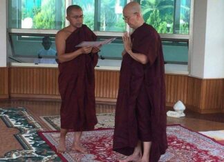 미얀마 전 대통령 Thein Sein, 정권이양 이후 수행원 수행