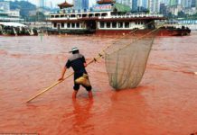 미얀마 중국 국경 강 붉은물로 인한 피해 우려