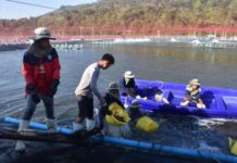 EU, 미얀마 수산물 양식장 지원