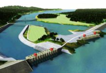 미얀마 Myitsone댐 공사 반대 시위