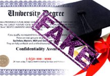 네피도 선거관리위원회, 출마후보 박사학위 진위 여부 조사