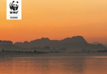 세계야생생물기금, 미얀마 주요 4대강중 하나 댐사업으로 악영향 보고