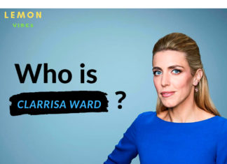 미얀마 군부정권, 해외 언론인 입국 허용