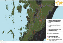 미얀마 쿠데타이후 산림지역 심각한 훼손