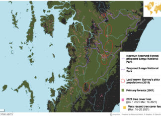 미얀마 쿠데타이후 산림지역 심각한 훼손