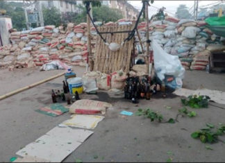 미얀마 보안군, 이번에는 바고지역 초토화 진압