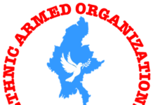 미얀마 휴전협정 서명 단체, 미얀마 시위 지지