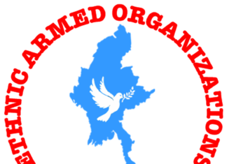 미얀마 휴전협정 서명 단체, 미얀마 시위 지지