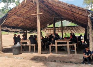 미얀마 시위대, 군사훈련 참여 증가