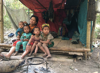 미얀마 난민, 식량 배급 삭감으로 생존 위기… 국제사회에 지원 복원 요청 카렌 난민캠프