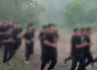 미얀마 국민방위군의 주목에 대한 우려