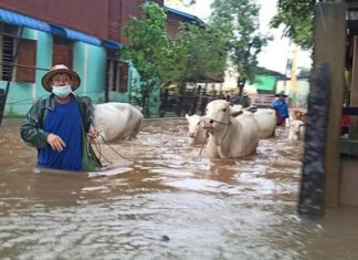 수재민 기금 모금 사칭한 사기꾼들 활개