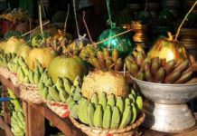 미얀마 트럭, 중국 트럭에 비해 가격 경쟁력 떨어져 바나나 수출 중단