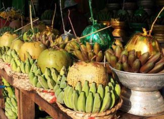 미얀마 트럭, 중국 트럭에 비해 가격 경쟁력 떨어져 바나나 수출 중단