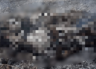 사가잉지역 민간인 화형 의혹