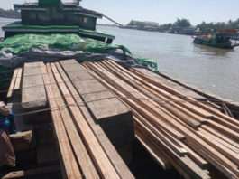 미얀마 목재 밀수출