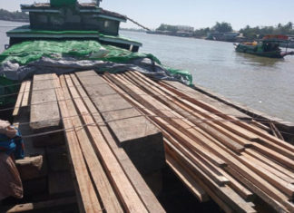 미얀마 밀수 단속 강화 미얀마 목재 밀수출