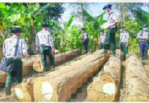 미얀마, 수입면허 없이 수입 시 블랙리스트 관리팀 구성 적발된 미얀마 밀수품