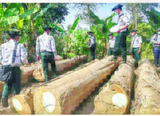 미얀마, 수입면허 없이 수입 시 블랙리스트 관리팀 구성 적발된 미얀마 밀수품