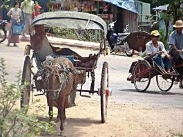 미얀마 외각에 있는 마차 택시