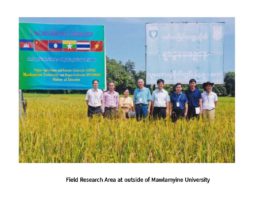 미얀마-중국 공동으로 쌀품종 개발