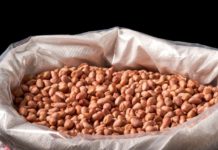 미얀마 에야와디 지역, 땅콩 시장 거래 활발…가공업 성장으로 판매 호조 미얀마 땅콩