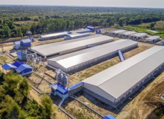 Nyaung Na Pin 농축산업단지 미사용 토지 허가 취소 경고 Nyaung Na Pin 축산업단지