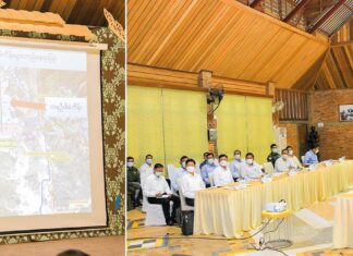 민아웅흘라잉 위원장, 다웨이 경제특구 시찰, 활성화 명령 민아웅흘라잉 위원장, 다웨이 경제특구 부지 시찰