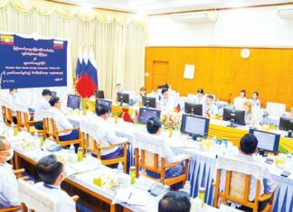 러시아 ROSATOM 발전소 미얀마 수력발전소 부지 시찰 미얀마-러시아 협력 프로젝트 수력발전소 지질검사 회의