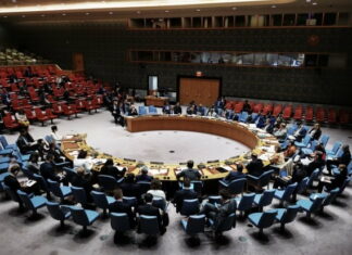 라카인주 USDP, UN안보리 결의안 반대 시위 UN안전보장이사회