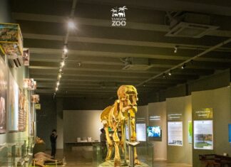 양곤 동물원 코끼리 박물관 개관 양곤 동물원 코끼리박물관