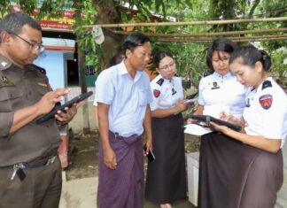 대충 대충 인구조사, 결국 조사 기간 연장 사전투표 인구조사