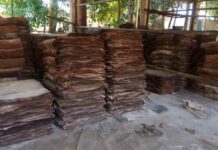 미얀마 수산물, 두류, 고무 수출 현황 미얀마 고무