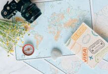 미얀마 관광가이드 면허 갱신 벌금 징수 overhead shot of a camera and flowers near a map