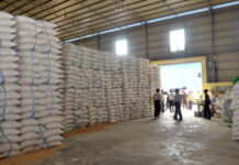 미얀마 쌀 안정화를 위해 쌀수출 허가 45일간 중단 미얀마 쌀 창고