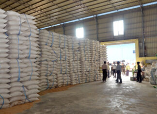 미얀마, 2026년 논 파종철 앞두고 쌀 수출 생산지역 확대…35만8천에이커 목표 미얀마 쌀 창고