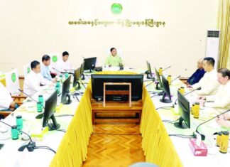 미얀마-러시아, 비료공장 건설 방안 논의 농촌협동조합개발부장관, 러시아 대표단 접견