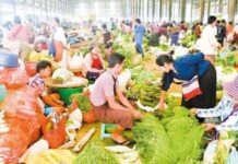 Danyinkone 도매시장 상가 영세중소기업 대출 지원 Danyinkone 도매시장