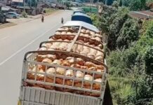 미얀마 무역부, 다른 국경 무역을 통해 수출입 승인 국경무역게이트에 고립된 트럭