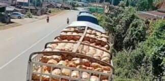 미얀마 밀수, 정식 수입보다 1톤당 최고 70만 짯 저렴… 수입 상인들 피해 확대 국경무역게이트에 고립된 트럭