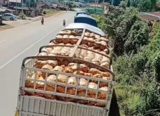 카렌주 Hpa-an타운십 밀수 단속 강화…압류된 트럭 수백 대, 일부 풀림 국경무역게이트에 고립된 트럭