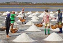 몬주 염전 업체들, 휴업  미얀마 염전