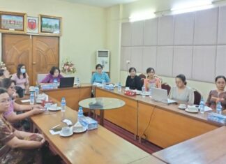 라파엘 인터내셔널, 미얀마 의료진 감염병 대응 역량강화 웨비나 개최 NO.1 University of Medicine, NO.2 University of Medicine 참석 의료진