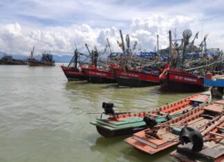 타닌따리 지역 어업, 인력 부족으로 어선 운영 감소…어업계 심각한 위기 직면