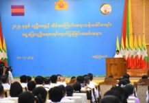 미얀마 임시 인구조사 결과 발표