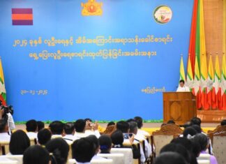 미얀마 임시 인구조사 결과 발표