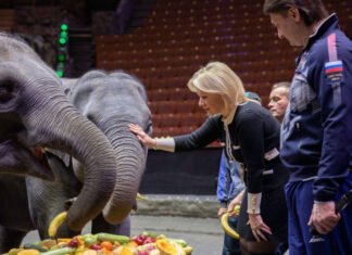 제75주년 미얀마-러시아 수교 기념, 코끼리 6마리 러시아에 선물