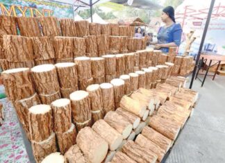 미얀마의 전통 문화 ‘타나카’, 유네스코 무형문화유산 등재를 위한 노력