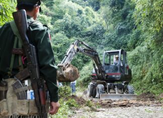 미얀마, EU 산림파괴 규정에 따라 ‘산림 파괴 고위험국’으로 지정 예정