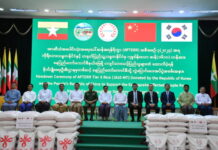 ASEAN+3 긴급 쌀 비축 기금, 미얀마 지진 피해 지원 위해 쌀 1,610톤 전달